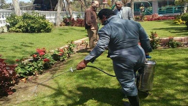 الدقهلية تقاوم حشرات