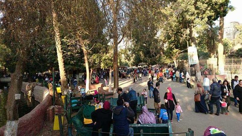 قوافل طبية تصرف الدواء