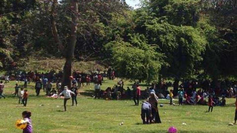 المحتفلون يتوافدون