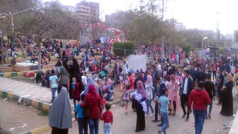 شجرة الدر تستقبل