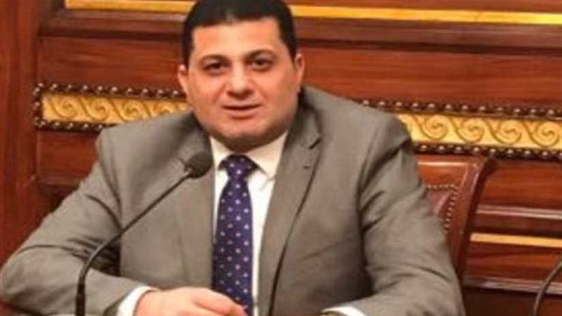 نائب البدرشين: الوزير