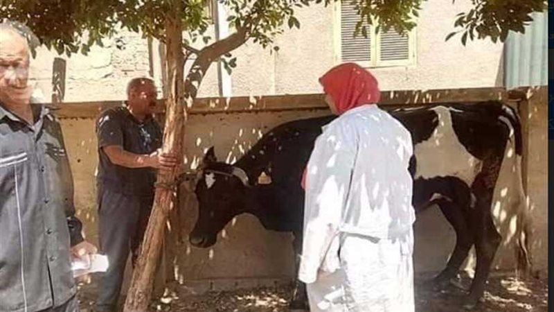 الشهداء تبدأ الحملة