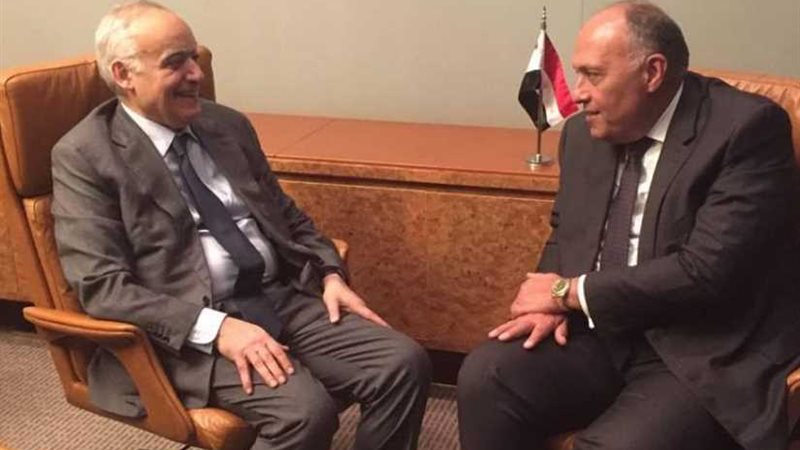  شكري يبحث مستجدات