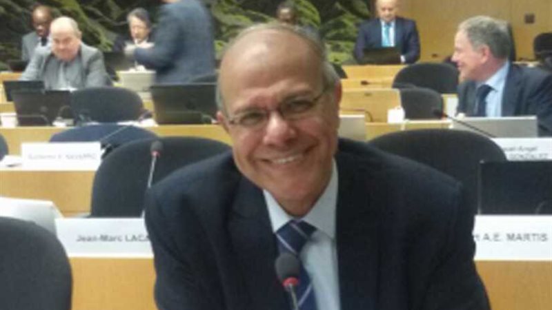 مصر تشارك في وضع