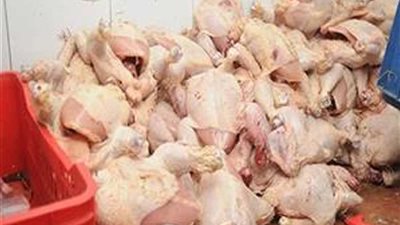 ضبط 9 أطنان دواجن منتهية الصلاحية في مجزر بالطالبية