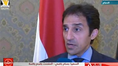 بسام راضي: الأزمة السورية تسيطر على القمة العربية وموقف مصر منها ثابت (فيديو)