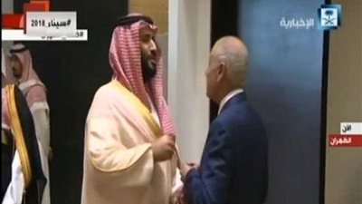 أبو الغيط يستقبل ولي العهد السعودي (فيديو)