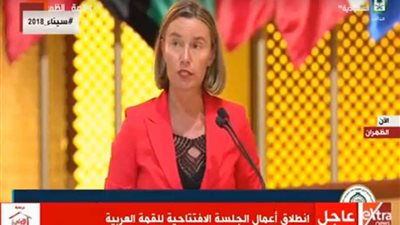 ممثلة الاتحاد الأوروبي: ندعم الجهود المناسبة لتجنب استخدام الأسلحة الكيماوية (فيديو)