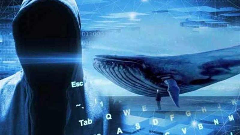 الحوت الأزرق يضرب