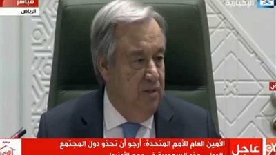 الأمين العام للأمم المتحدة: الأزمة الفلسطينية الإسرائيلية لن تنتهي إلا بحل الدولتين