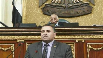 نائب المطرية يتقدم بطلب إحاطة ضد الصيد بالكهرباء في البحيرات