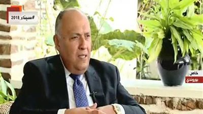 سامح شكري: لم نتلق ردًا من إثيوبيا والسودان حول دعوتنا بشأن سد النهضة (فيديو)