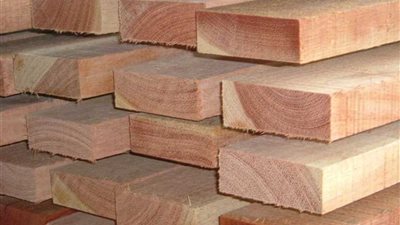 تعرف على حقيقة حظر الحكومة استيراد الأخشاب