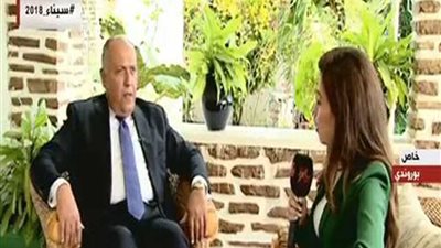 سامح شكري: نسعى للحفاظ على مصلحة الشعب السوري ووحدة أراضيه (فيديو)