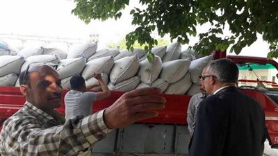 توريد 4 آلاف طن قمح ببني سويف