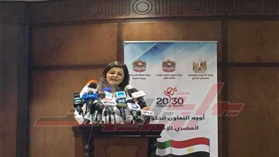 وزيرة التخطيط تعلن عن إطلاق 20 جائزة تميز حكومي هذا العام (فيديو)