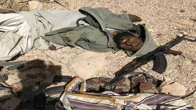 القضاء على أمير التنظيم