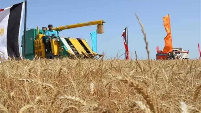 الإسماعيلية تبدأ