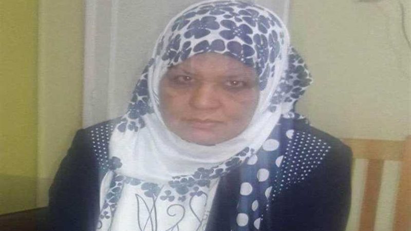 رئيس مدينة الواسطى