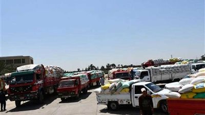 شون وصوامع البحيرة تستقبل 48 ألف طن قمح