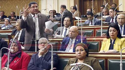 البرلمان يعيد الحبس مدة لا تزيد 6 شهور لمخالفة الفلاحين الدورة الزراعية