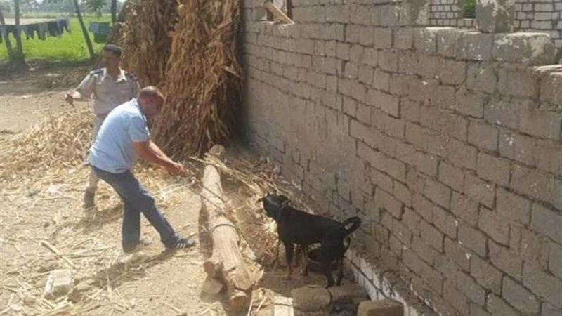 متعدٍّ يستعين بـ”كلب