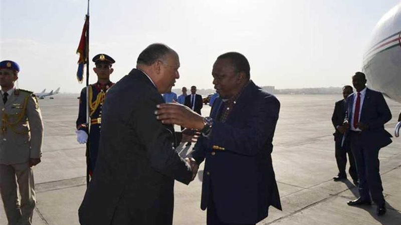 وزير الخارجية يلتقي