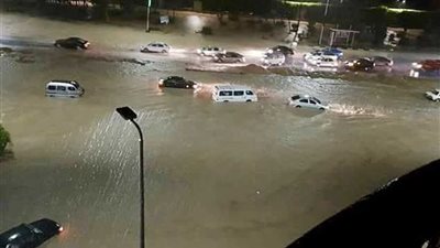 غرق رئيس جهاز القاهرة الجديدة في بركة الأهمال