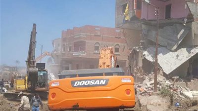 إزالة التعديات عن 240 فدانا ببحيرة المنزلة