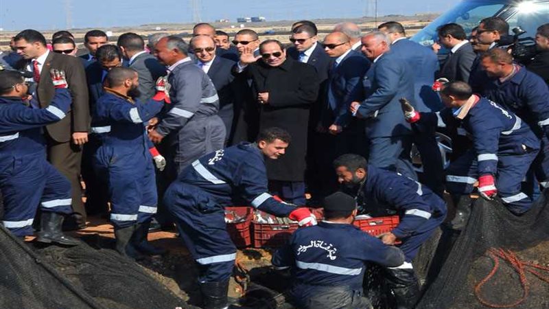 الاستزراع السمكي