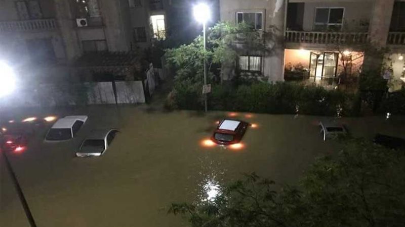 بالصور.. أمطار الربيع