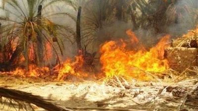 البحيرة.. حريق هائل يلتهم 30 فدانا