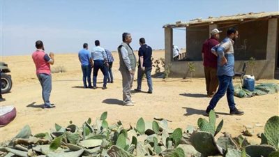 البحيرة تسترد 3200 فدان أملاك دولة بوادي النطرون