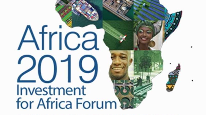 المشاركون بـ صنع