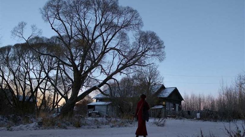 عرض دولي أول للفيلم