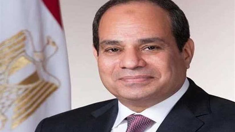 نشاط الرئيس السيسي