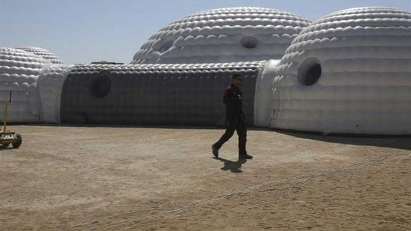 بكتيريا تبني قاعدة