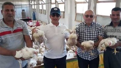 جامعة العريش مستمرة في طرح منتجاتها بأسعار تنافسية