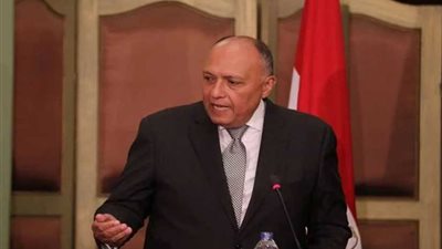 وزير الخارجية يؤكد التزام مصر بقرارات الشرعية الدولية الخاصة بوضعية المستوطنات الإسرائيلية