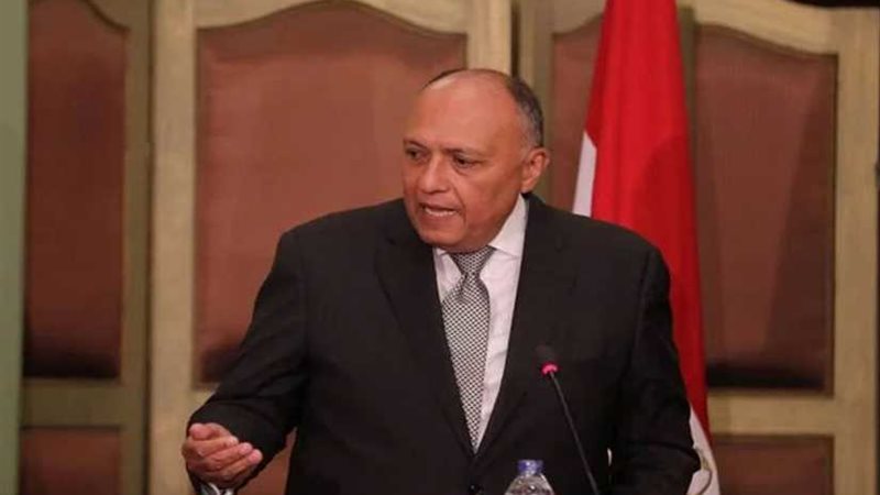 وزير الخارجية يؤكد
