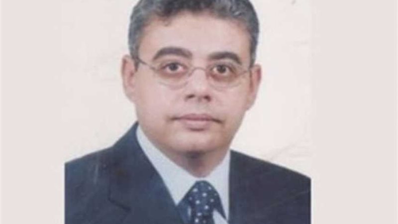 قنصل مصر العام في