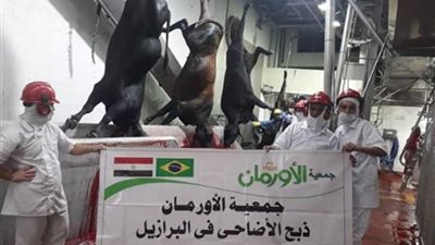 جمعية الأورمان بأسيوط تبدأ في توزيع 50 طن لحوم و10 آلاف بطانية للأسر الأكثر احتياجًا