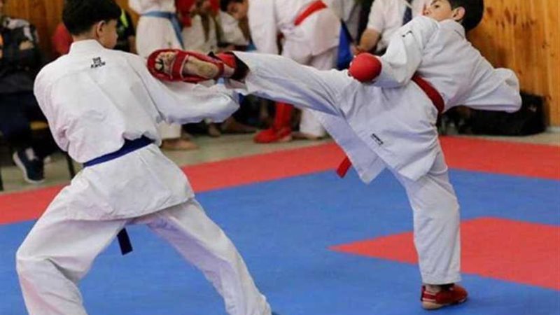 عجور رئيسا لبعثة