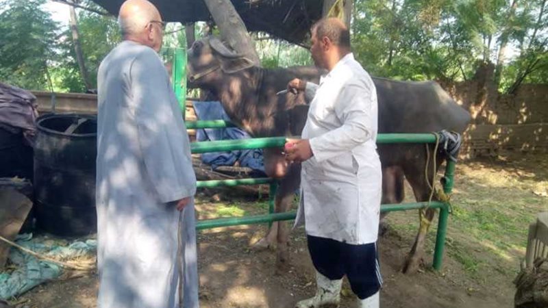 تحصين 53 ألف رأس