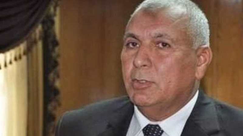 محافظ الوادي الجديد