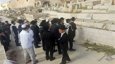 عاجل.. مستوطنون صهاينة يدنسون مقبرة باب الرحمة بالأقصى خلال قيام مقدسيين بتنظيفها