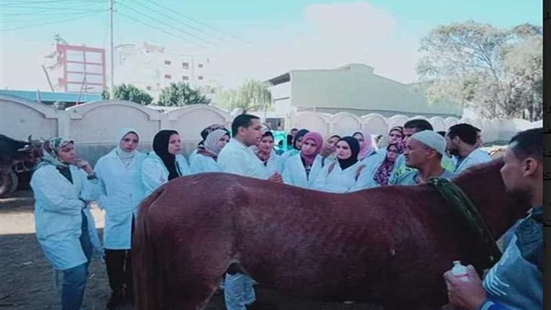 آمنة: تدريب طلاب