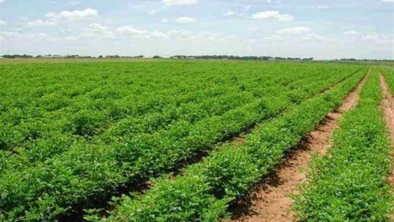 طرح أراضٍ بالمحافظات