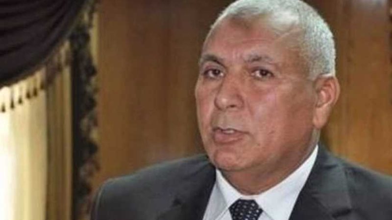 محافظ الوادي الجديد