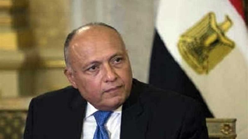 غداً.. شكري يستقبل